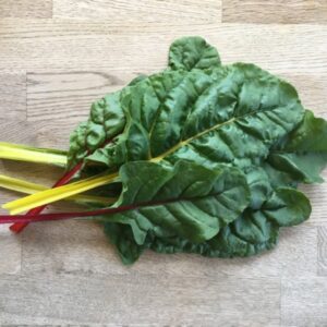 Krautstiel_psr_k_web