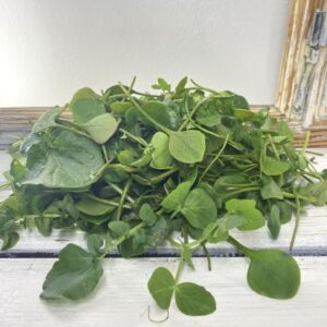 Bio-Frühlings-Salattopping (100gr)